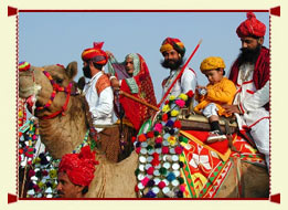 Camel Festival