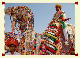 Pushkar Camel Fair 